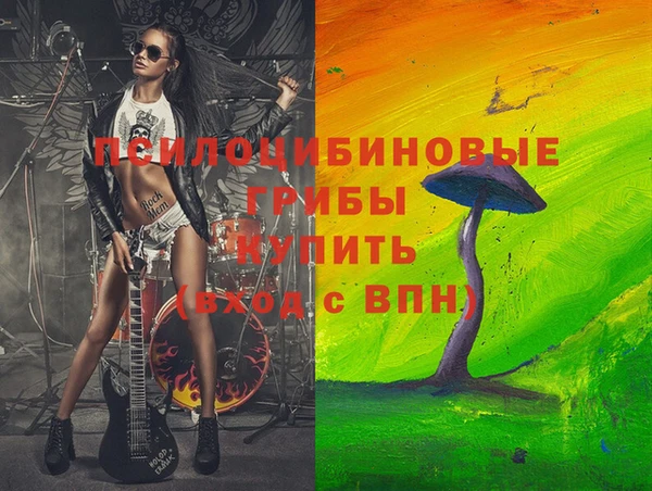 амф Надым