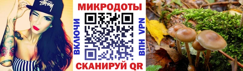 где найти   Неман  blacksprut зеркало  Псилоцибиновые грибы MAGIC MUSHROOMS 